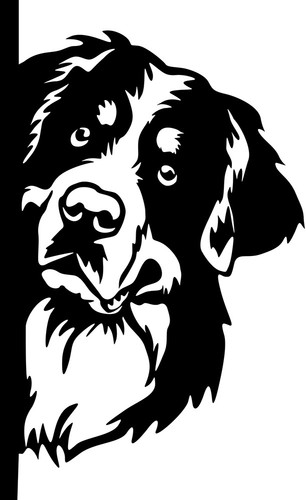 Berner sennenhund aufkleber - berner,