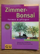 Zimmer bonsai formen - formen, pflegen