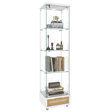 Moderne Glasvitrine mit