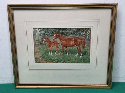 Gerahmtes pferd pony - &, nr