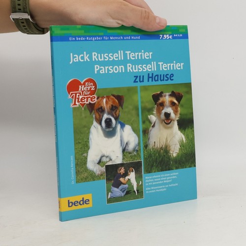 Jack russell terrier parson - russell, terrier,
