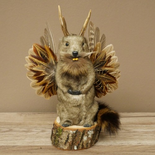 Wolpertinger murmel präparat - wolpertinger,