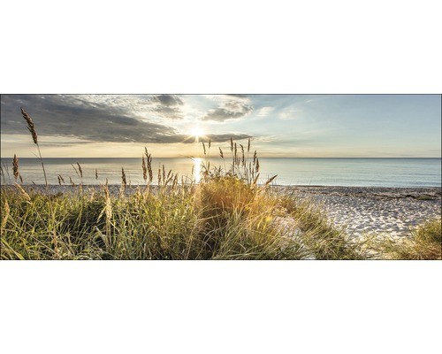 Glasbild wilder strand - glasbild,