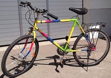 Pegasus Mountainbike MTB 26 Zoll 18-Gang Shimano, Nabendynamo LED Licht, Germany