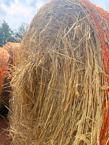 Heu rundballen - rundballen, (heuballen)