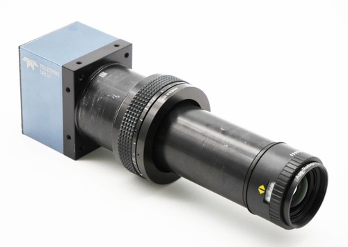 Teledyne dalsa - teledyne,