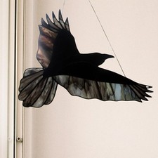 Rabe Glas Fenster hängen