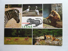 AK Gottwaldov CSSR Zoo Zebra