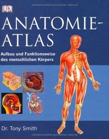 Anatomie atlas aufbau - anatomie-atlas:,