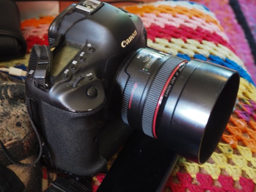 Canon 1dx mit 50mm l - 1dx,