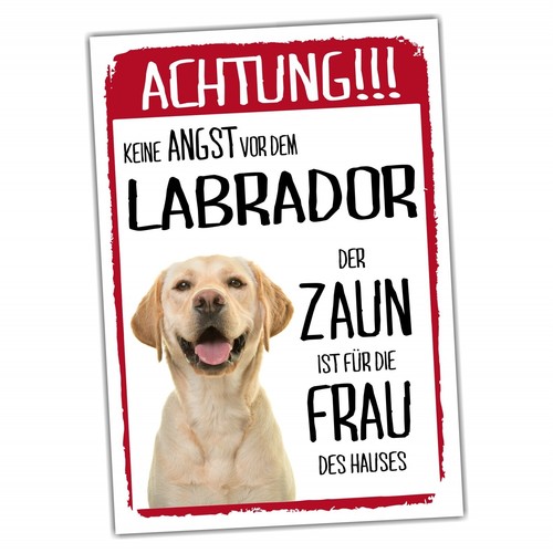 Labrador dog schild achtung - labrador,