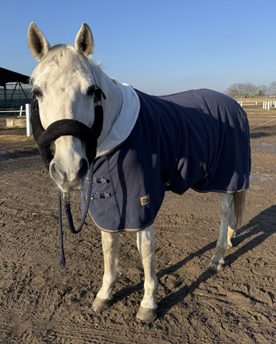 Harry horse abschwitzdecke - harry's,