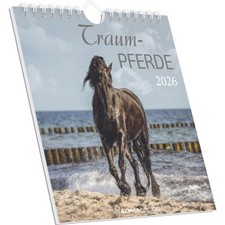 Alpha Edition - Traumpferde Kalender 2026 - Postkartenkalender 16×17 cm mit Pf