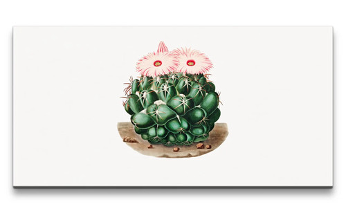 120x60cm remaster exotischer - 120x60cm,