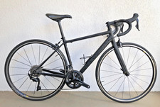 CANYON Endurace AL 7.0 RENNRAD