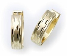 New ladies' earrings hinged