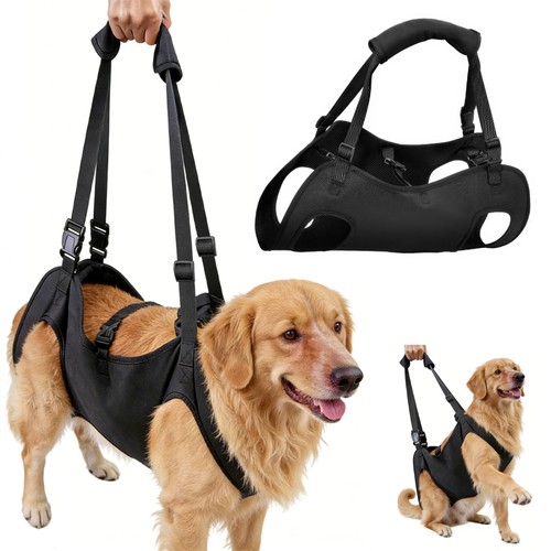 Hunde tragehilfe gehhilfe - hunde,
