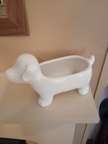 Dackel wurst hund indoor - wurst,
