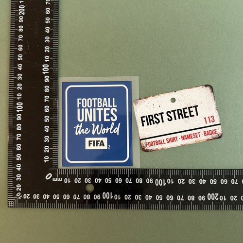 Fifa football unites - the, world