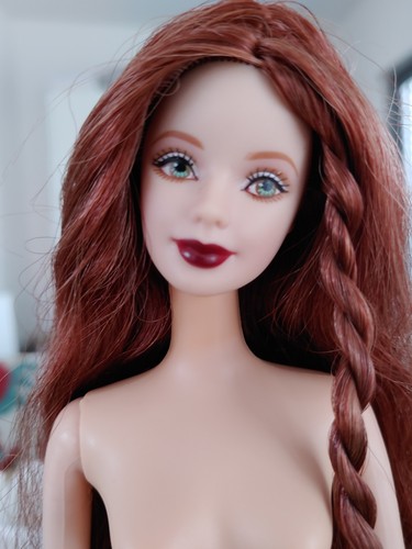 Princess ireland barbie - princess, of