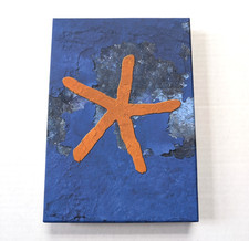 Fish 13th star 2024 - 13th, remix