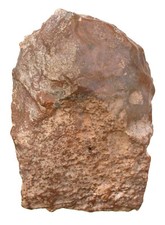 Paläolithikum  Urtümlicher