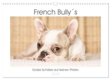 French Bully´s - Große