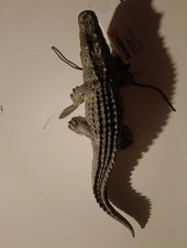 Schleich Wild Life - NIL -