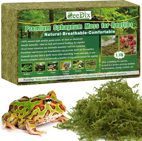 Sphagnum moos 500g - sphagnum,