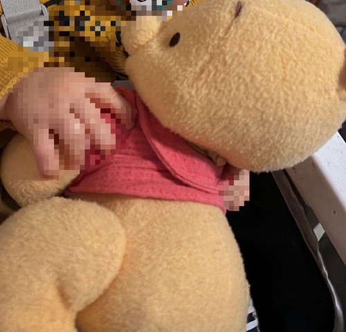 Laufender sprechender winnie - sprechender,