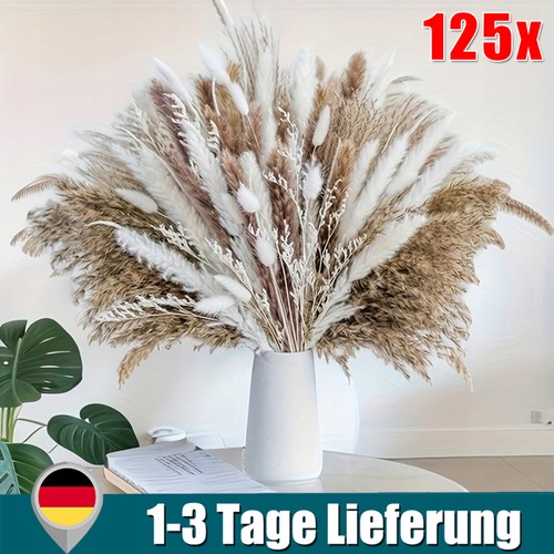 125 stück getrocknetes - 125,