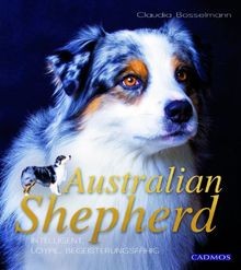 Australian shepherd - australian,