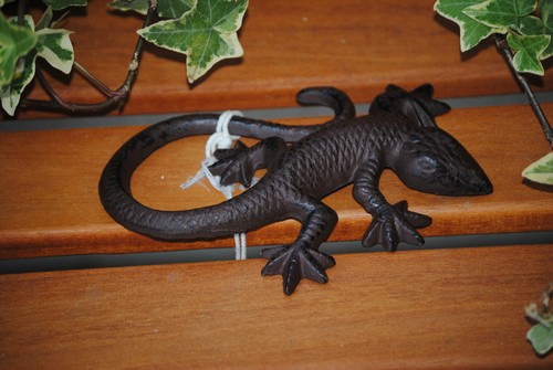 Salamander gecko 16cm echse - salamander,