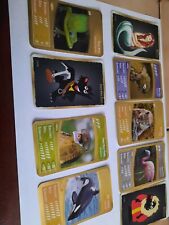 Netto Ozeanien 6 Unglaubliche Naturwunder! Glitzerkarten zum Aussuchen 