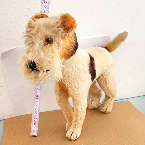 Sammlerstück steiff - sammlerstÜck!!!,