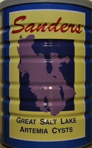 Sanders artemiaeier - sanders,