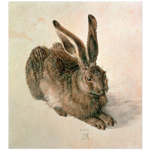 Albrecht dürer junger - albrecht,
