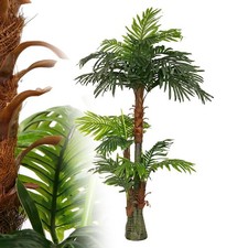 Cycas-Palme künstlich