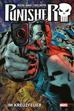 Punisher Collection von Greg