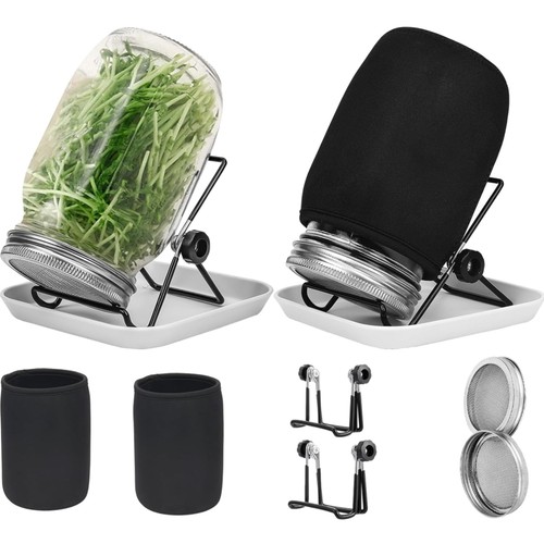 Kreatives keimglas set - kreatives,