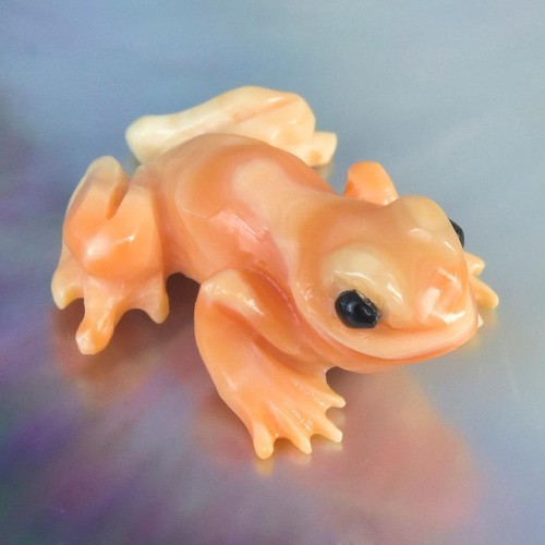 Frosch aprikose trompete - frosch,