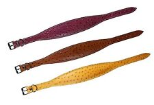 Karlie Ventus Windhund Halsband Leder 40- 55 cm, innen weich gepolstert, genarbt