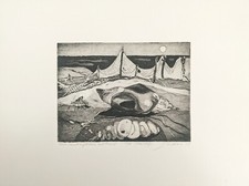 Ilse Willers, Meer-Schneckengehäuse, Radierung, signiert, num., 1979