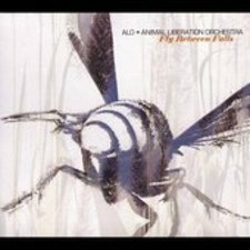 ALO (Animal Liberation Orchestra) Fly between falls (2006) [CD]