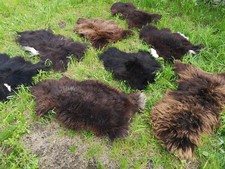 Echte Öko Schaffelle Lammfell Schaffell Fell Braun Bis 140cm 2.Wahl Schnäppchen