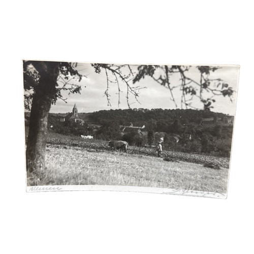 Postkarte ansichtskarte ulmen - postkarte,