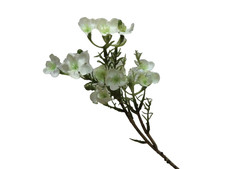 Wachsblume künstlich Weiß 27