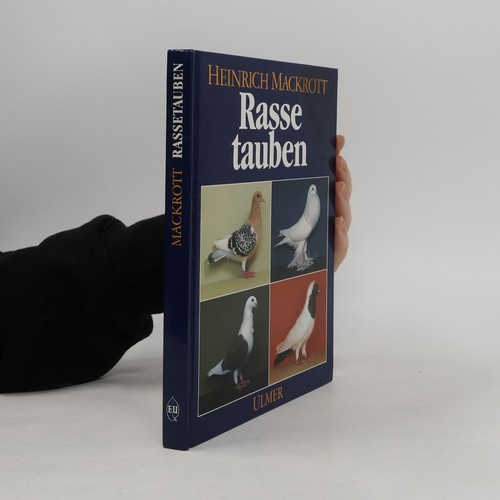 Rassetauben heinrich - | ,