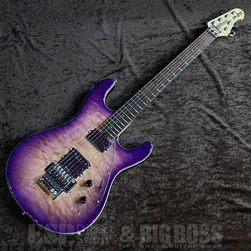 Music man steve morse - music,