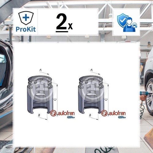 Autofren seinsa kolben - 2x,